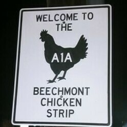 A1A Chicken Strip Road Crossers